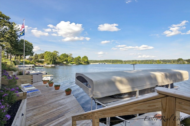 dock area with a water view