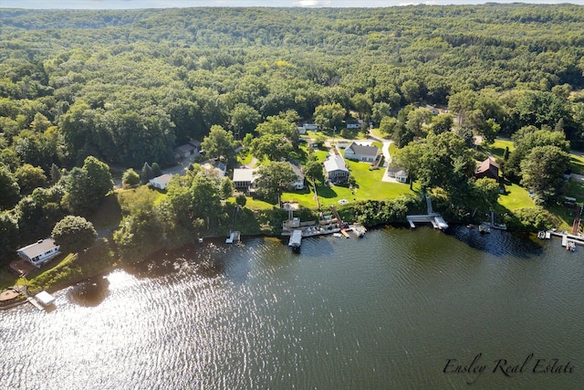 bird's eye view featuring a water view and a view of trees