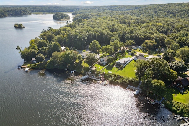 bird's eye view featuring a forest view and a water view