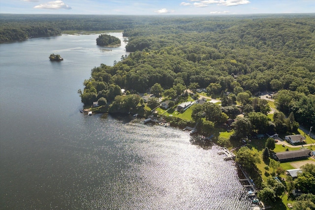 birds eye view of property with a water view and a view of trees