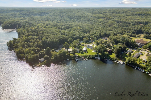 bird's eye view with a water view and a view of trees