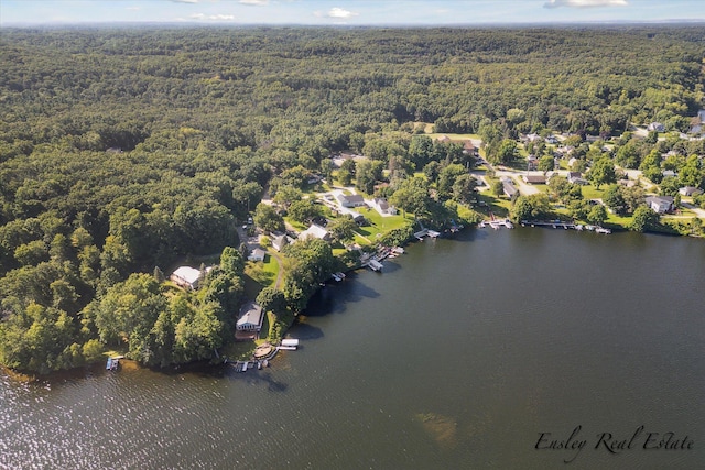 drone / aerial view with a water view and a wooded view