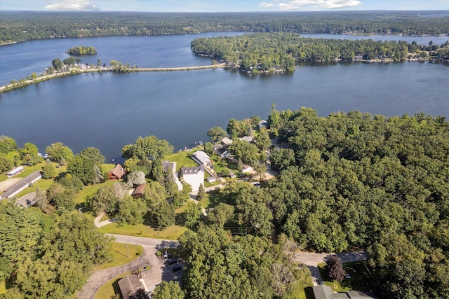 bird's eye view with a water view and a view of trees