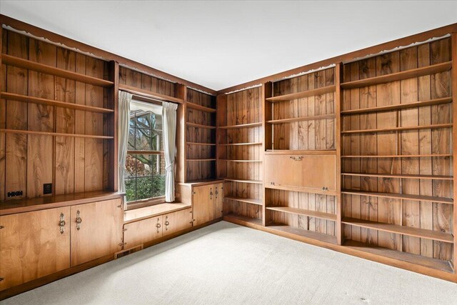 spare room featuring carpet, wooden walls, and visible vents