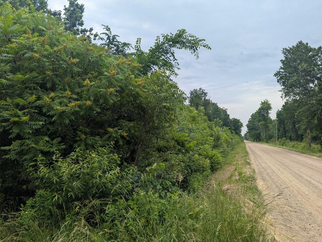 V/L5953 108th Ave, Pullman, MI 49450 - photo 2