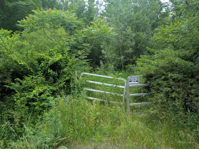 V/L5953 108th Ave, Pullman, MI 49450 - photo 3