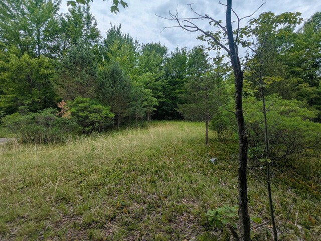 V/L5953 108th Ave, Pullman, MI 49450 - photo 4