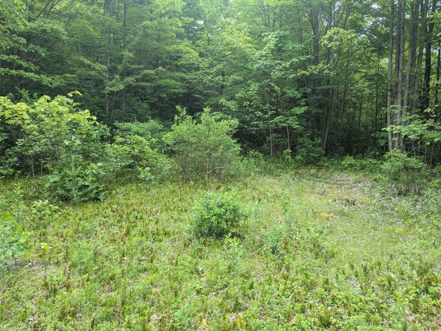 V/L5953 108th Ave, Pullman, MI 49450 - photo 5