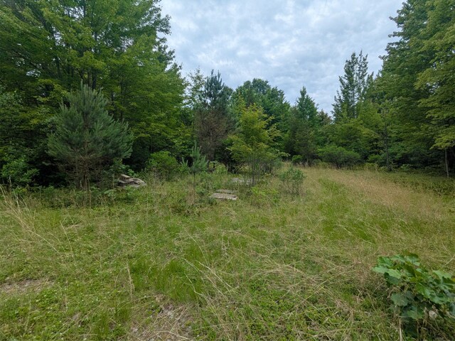 V/L5953 108th Ave, Pullman, MI 49450 - photo 6