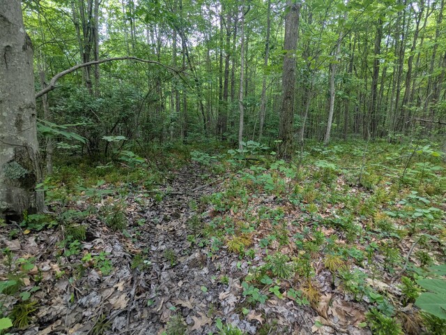 V/L5953 108th Ave, Pullman, MI 49450 - photo 8
