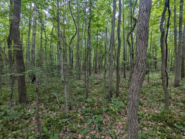 V/L5953 108th Ave, Pullman, MI 49450 - photo 9