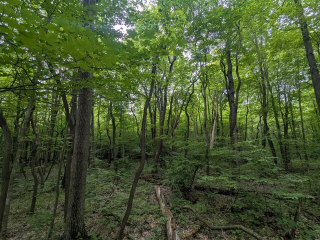 V/L5953 108th Ave, Pullman, MI 49450 - photo 22