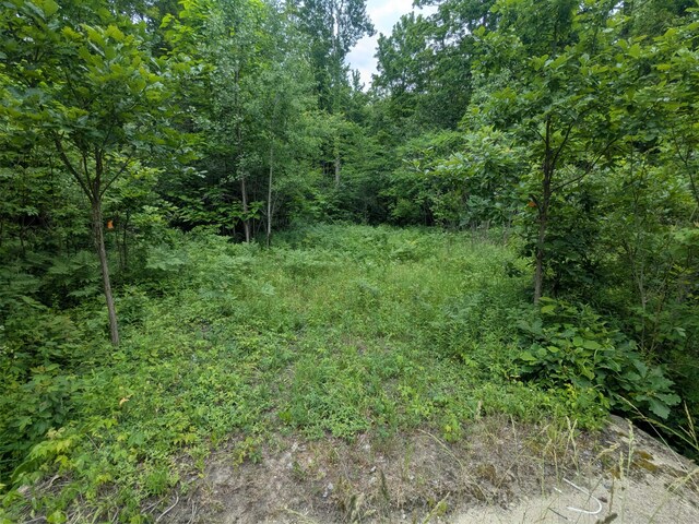 V/L5953 108th Ave, Pullman, MI 49450 - photo 23