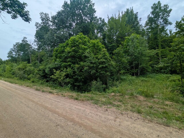 V/L5953 108th Ave, Pullman, MI 49450 - photo 24