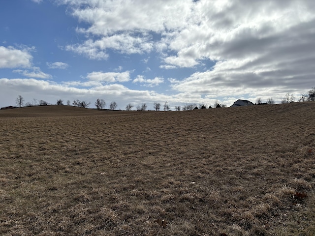 0 Wildlife Rdg, Manchester MI, 48158 land for sale