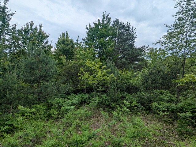 V/L5800 108th Ave, Pullman, MI 49450