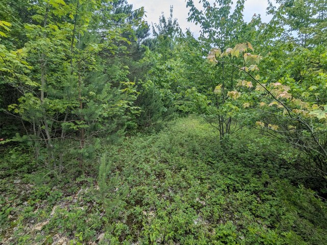 V/L5800 108th Ave, Pullman, MI 49450