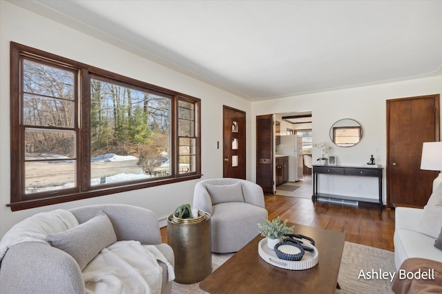 living area with wood finished floors