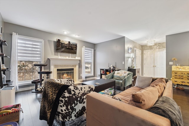 living room featuring a premium fireplace and wood finished floors