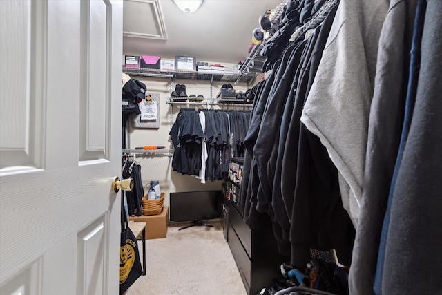 view of spacious closet