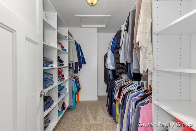 7313 Valhalla Dr, Hudsonville, MI 49426 - spacious closet featuring attic access and light carpet