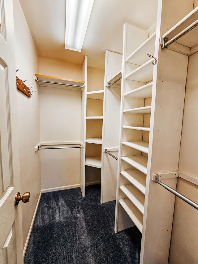 walk in closet with carpet flooring