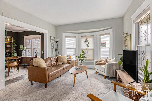 living area featuring plenty of natural light