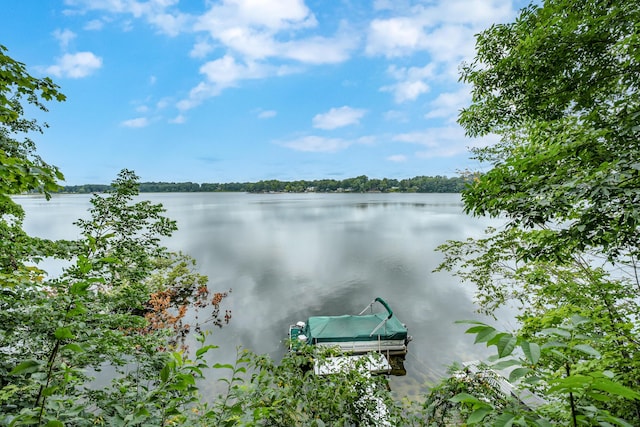 view of water feature