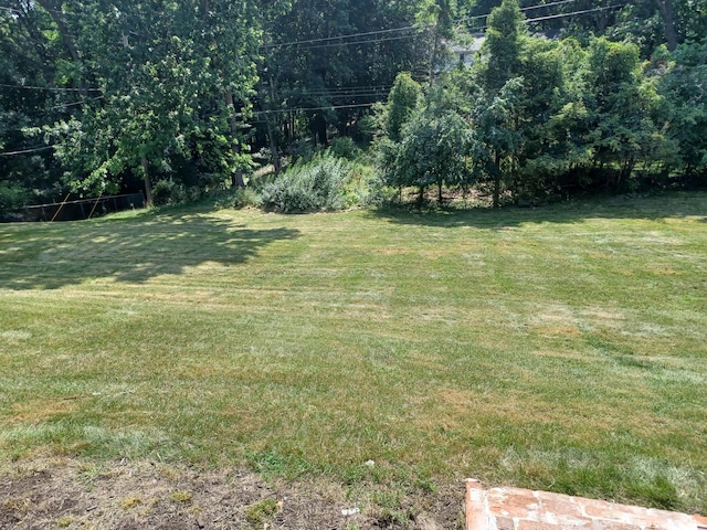 4265 Pine Tree Trl, Bloomfield Hills, MI 48302 - view of yard