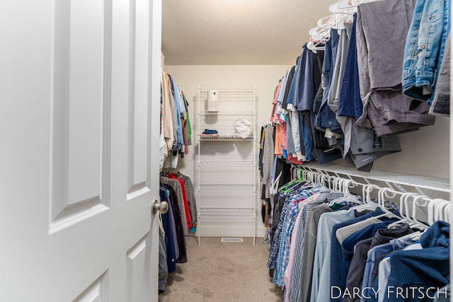 walk in closet with light carpet