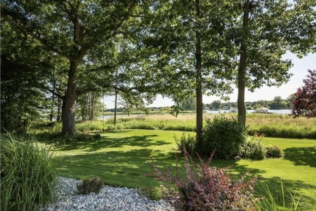 14788 Boom Rd, Spring Lake, MI 49456 - view of yard with a water view