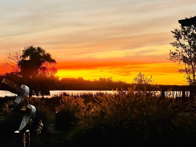 14788 Boom Rd, Spring Lake, MI 49456 - view of landscape with a water view