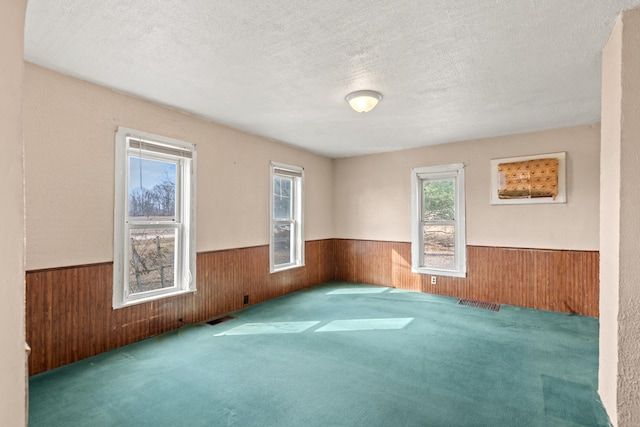 spare room featuring wainscoting, a wealth of natural light, and wooden walls