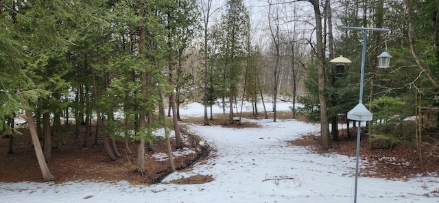 view of yard covered in snow