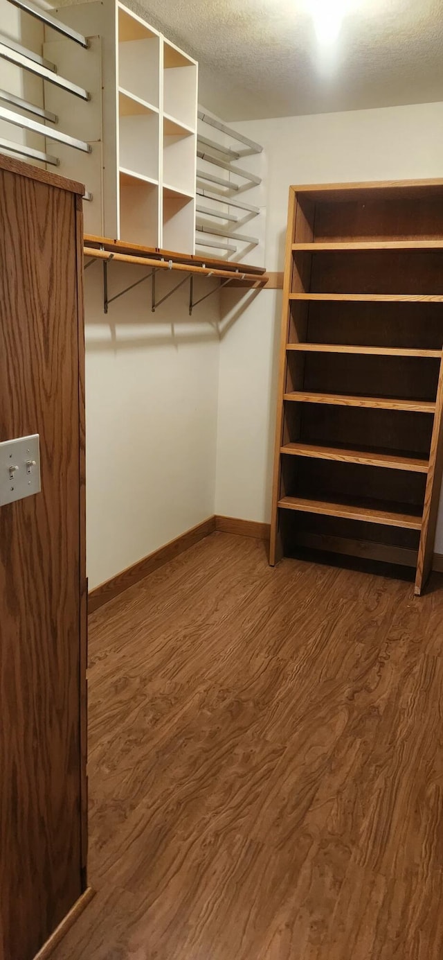 walk in closet featuring wood finished floors