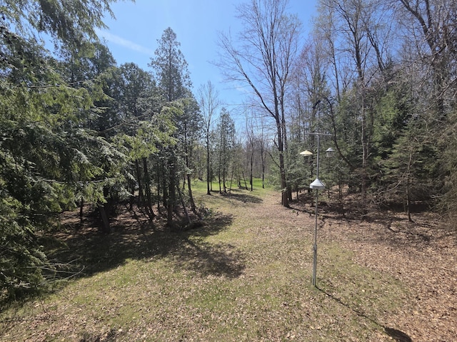3075 Mineral Springs Trl, Mount Pleasant, MI 48858 - view of yard