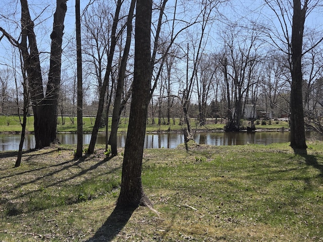 3075 Mineral Springs Trl, Mount Pleasant, MI 48858 - water view