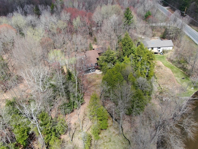 3075 Mineral Springs Trl, Mount Pleasant, MI 48858 - aerial view of property and surrounding area