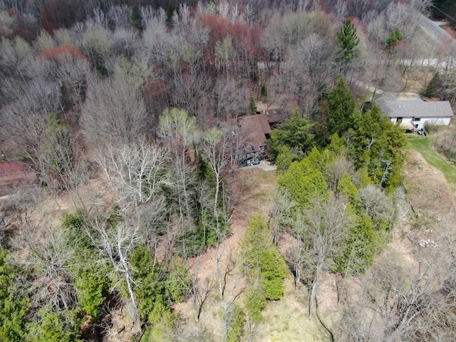 3075 Mineral Springs Trl, Mount Pleasant, MI 48858 - view from above of property