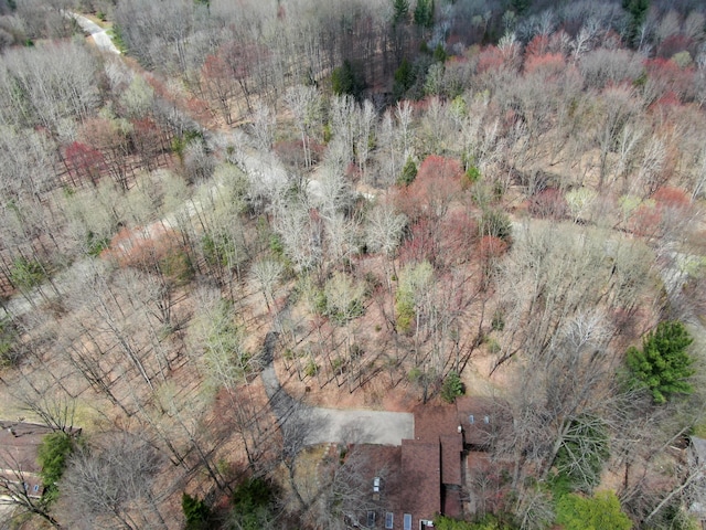 3075 Mineral Springs Trl, Mount Pleasant, MI 48858 - bird's eye view