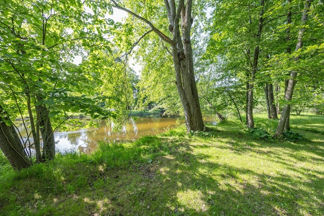 3075 Mineral Springs Trl, Mount Pleasant, MI 48858 - view of green lawn featuring a water view