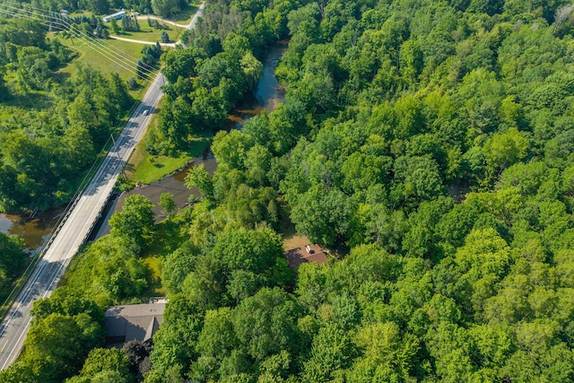3075 Mineral Springs Trl, Mount Pleasant, MI 48858 - aerial view of property's location with a heavily wooded area