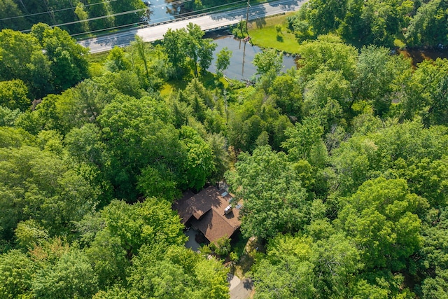 3075 Mineral Springs Trl, Mount Pleasant, MI 48858 - bird's eye view of a heavily wooded area