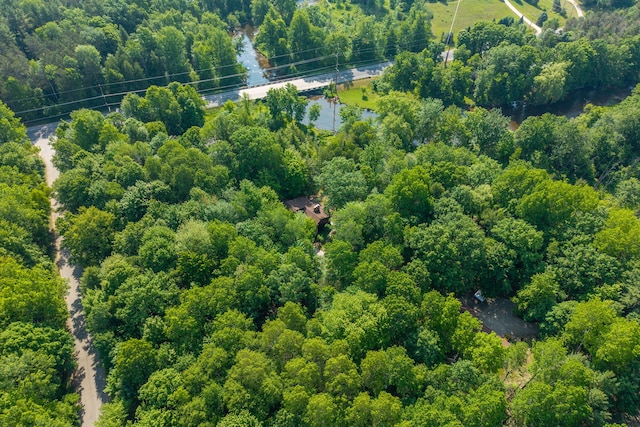 3075 Mineral Springs Trl, Mount Pleasant, MI 48858 - bird's eye view