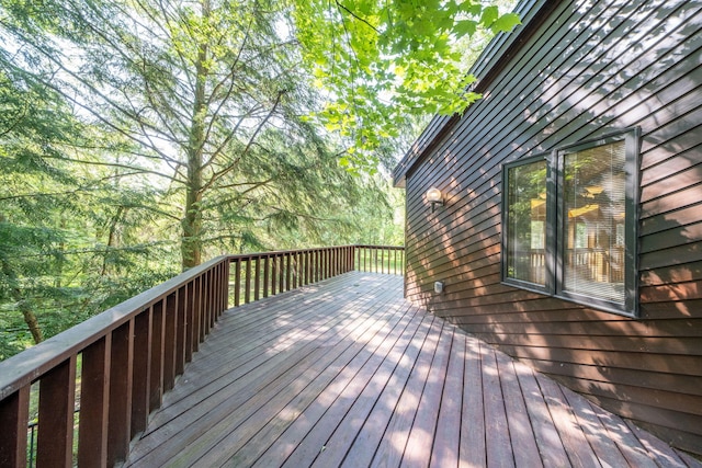 3075 Mineral Springs Trl, Mount Pleasant, MI 48858 - view of wooden terrace