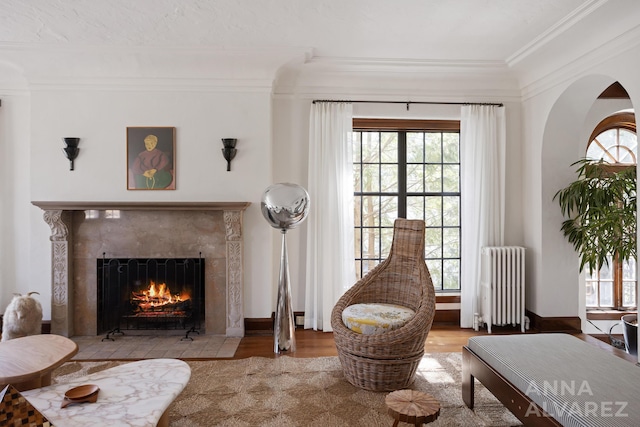 727 Plymouth Rd SE, East Grand Rapids, MI 49506 - living area featuring radiator heating unit, wood finished floors, a high end fireplace, healthy amount of natural light, and ornamental molding
