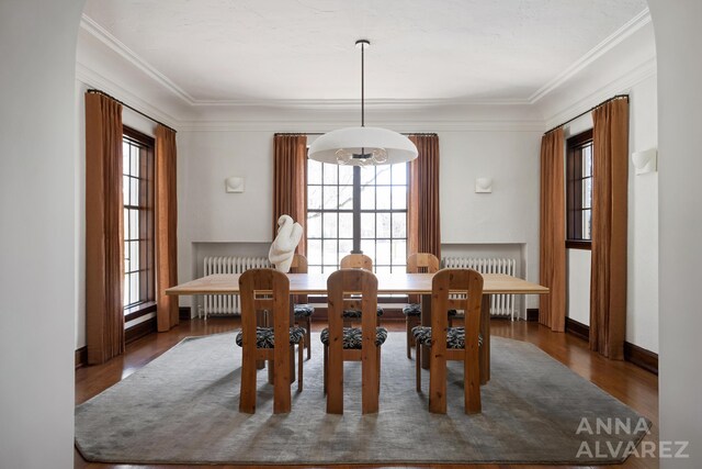 727 Plymouth Rd SE, East Grand Rapids, MI 49506 - dining area with radiator, ornamental molding, and healthy amount of natural light