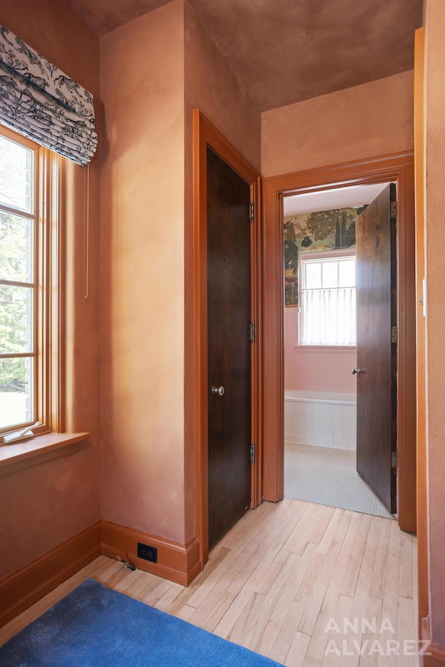 727 Plymouth Rd SE, East Grand Rapids, MI 49506 - hallway featuring light wood-type flooring and plenty of natural light
