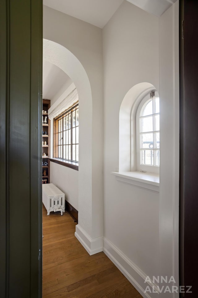 727 Plymouth Rd SE, East Grand Rapids, MI 49506 - corridor featuring arched walkways, plenty of natural light, and wood finished floors