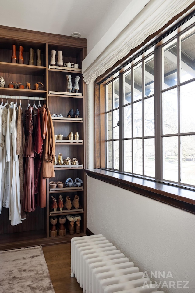 727 Plymouth Rd SE, East Grand Rapids, MI 49506 - view of closet
